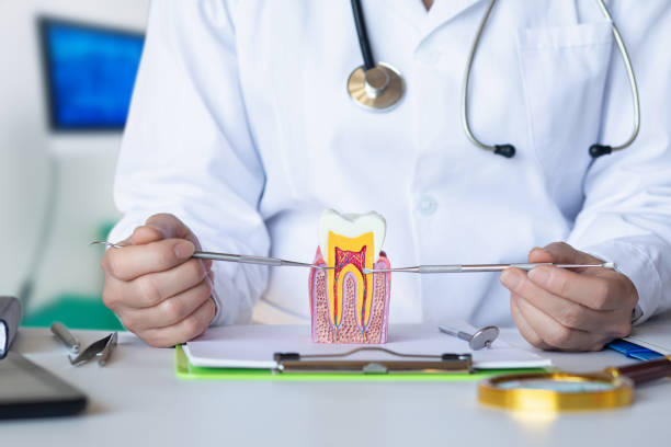 Best Cracked Tooth Emergency Dentist  in Philadelphia, MS